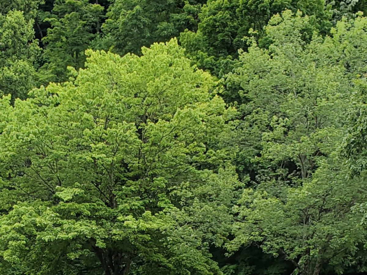 Renting versus buying an RV