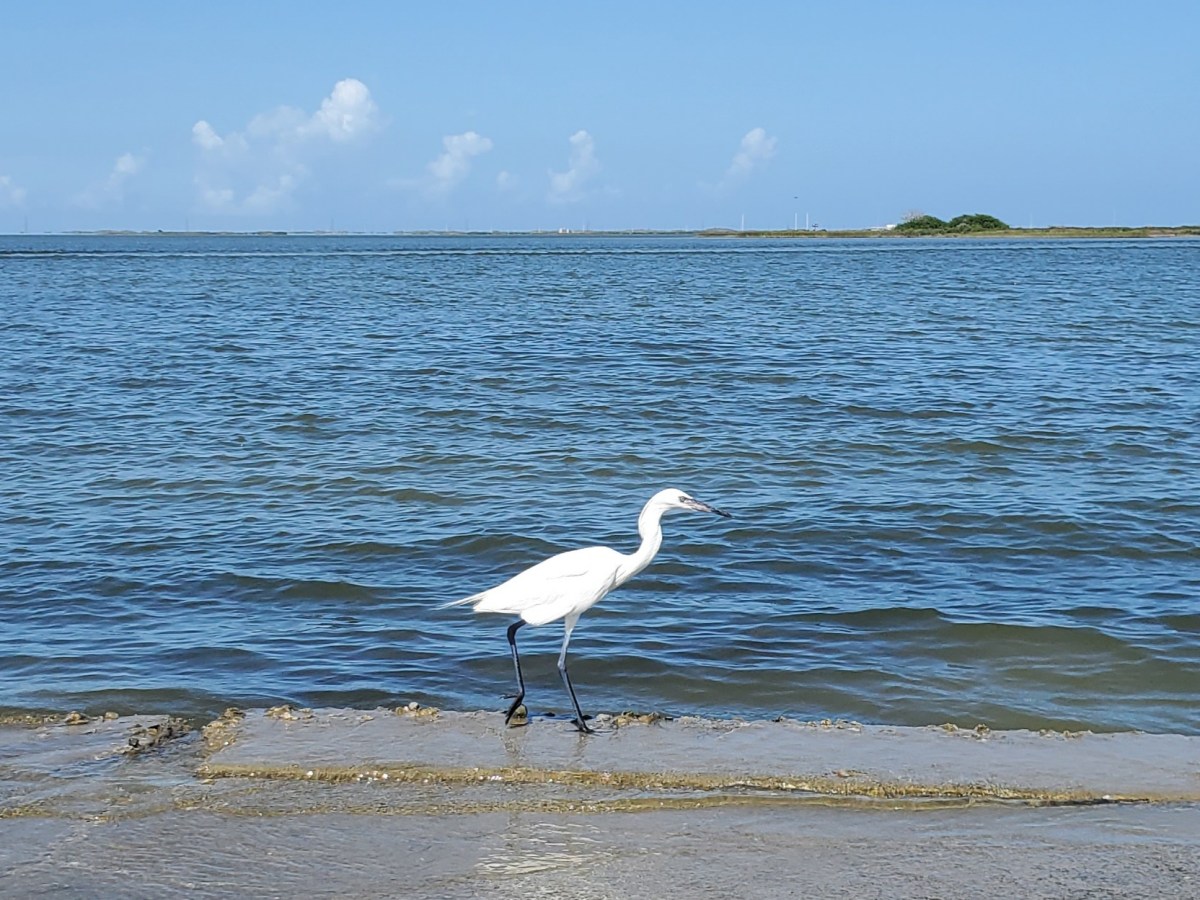 Our attempt at escape from lockdown!