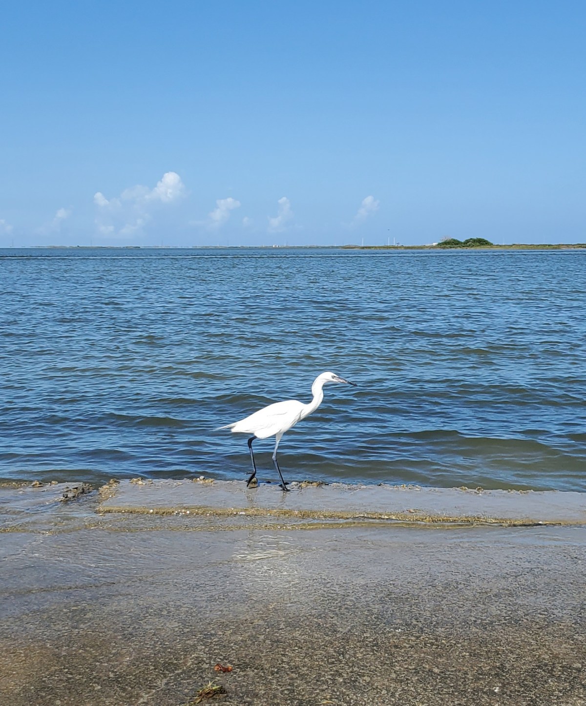 Our attempt at escape from lockdown!